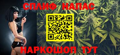 дурь Сланцы