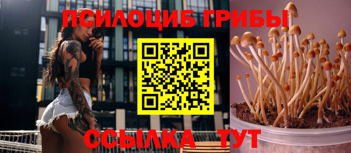 Псилоцибиновые грибы мухоморы Ялуторовск