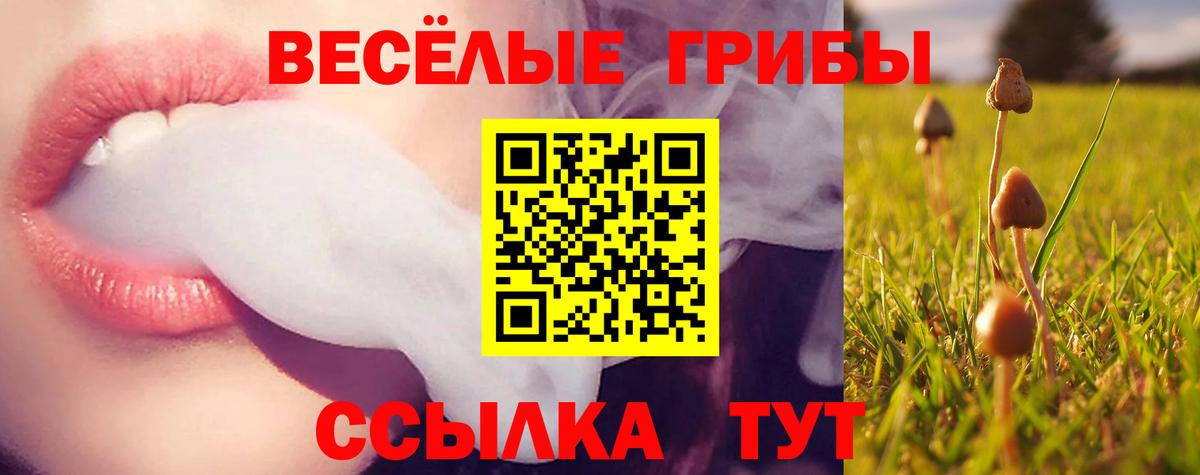 сколько стоит  Вход с VPN  Ялуторовск  Псилоцибиновые грибы прущие грибы 